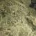 伸筋草，个子，机压包。干货
