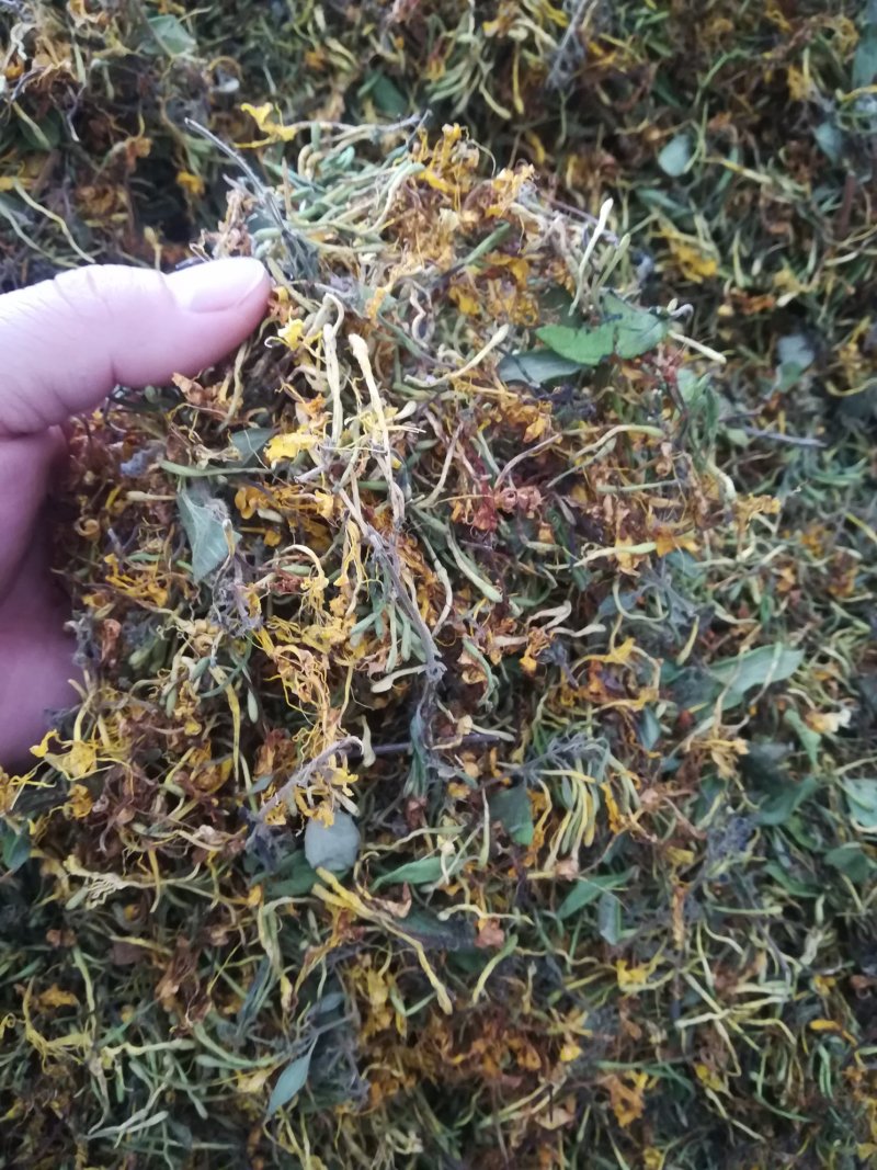 广西原生态金银花干货(机器烤干)