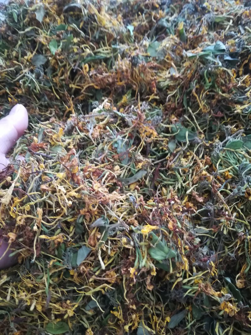 广西原生态金银花干货(机器烤干)