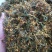 广西原生态金银花干货(机器烤干)