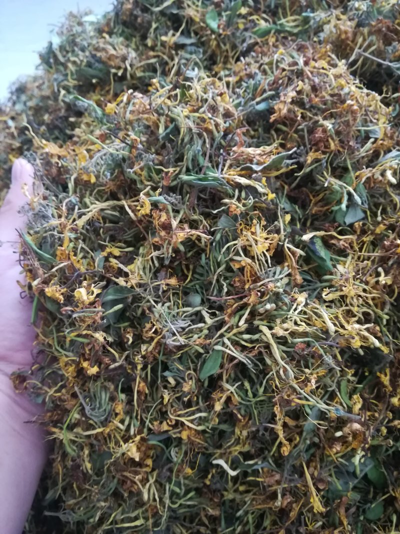 广西原生态金银花干货(机器烤干)