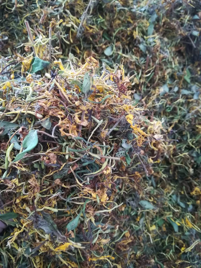 广西原生态金银花干货(机器烤干)