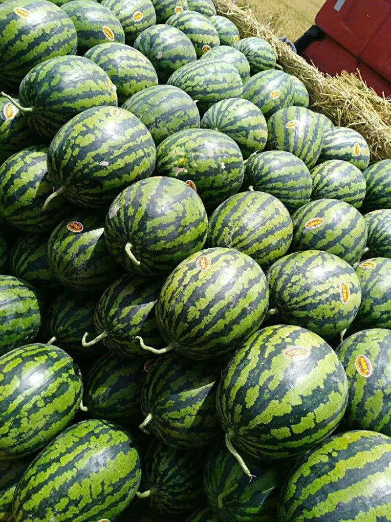 精品甜王西瓜，陕西甜王西瓜，对接全国，保质保量，保熟度