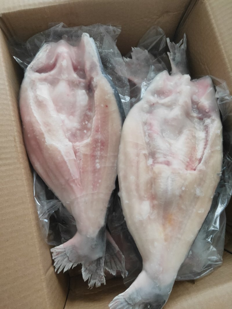 开背巴沙鱼，8.5成开背巴沙鱼，厂家直销