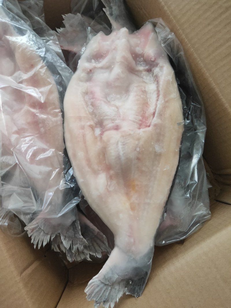 开背巴沙鱼，8.5成开背巴沙鱼，厂家直销