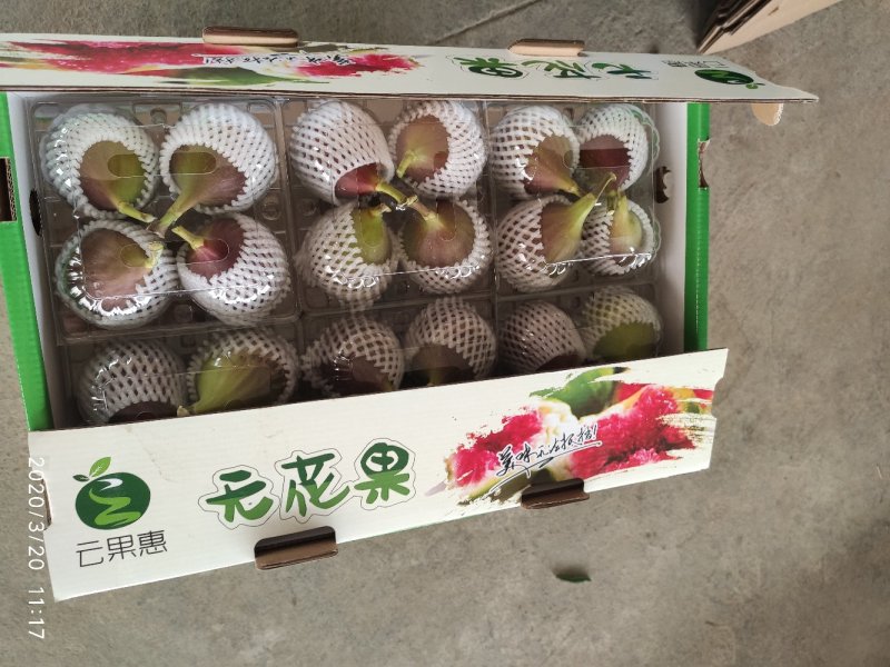 新鲜无花果