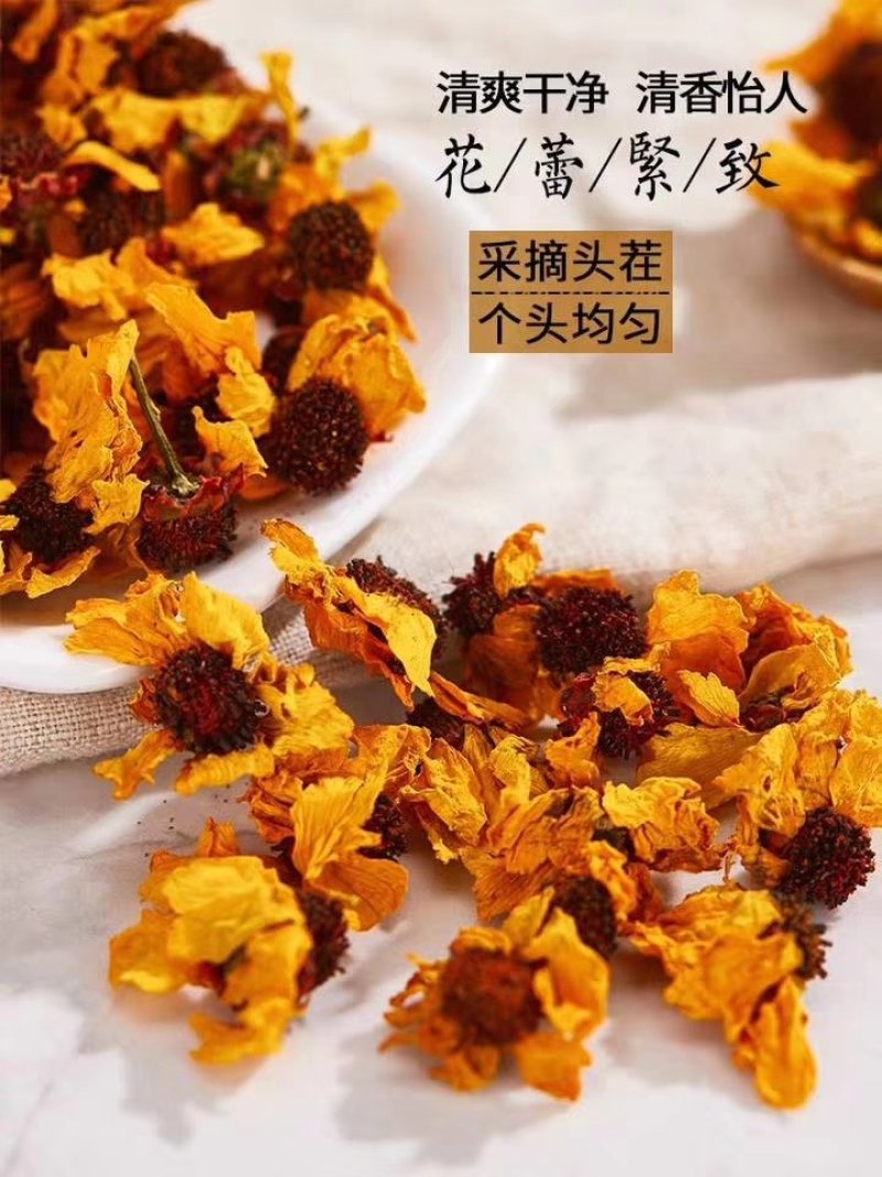 好品质新疆雪胎菊大花特级