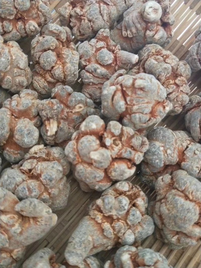 正宗三七文山三七可视频看货产地现货一手货源包邮