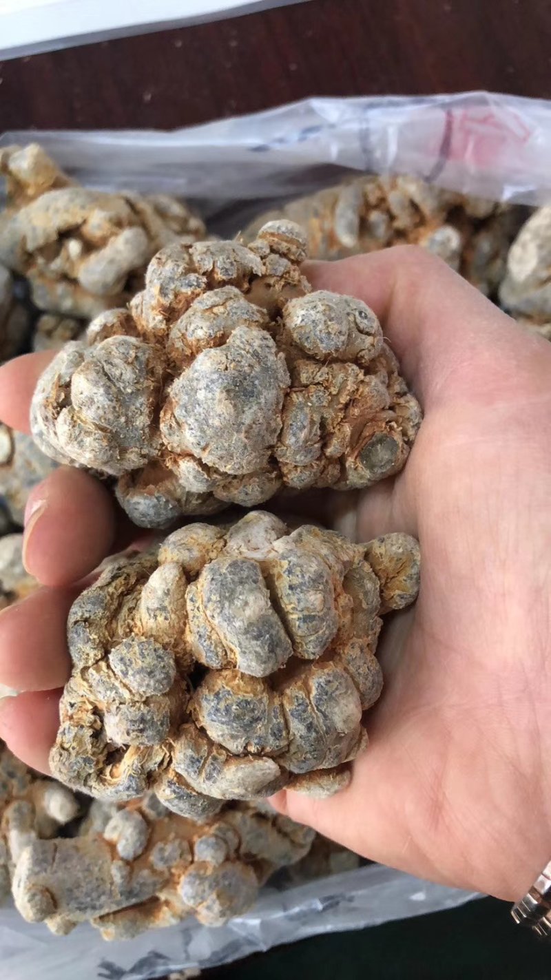 正宗三七文山三七可视频看货产地现货一手货源包邮