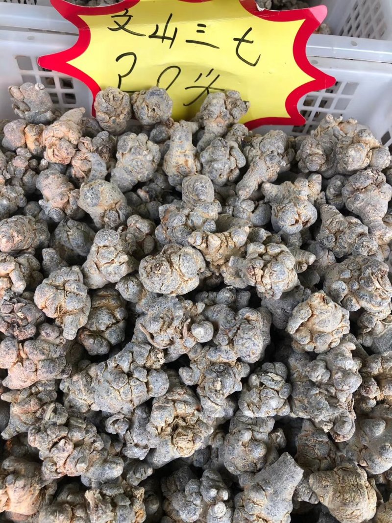 正宗三七文山三七可视频看货产地现货一手货源包邮