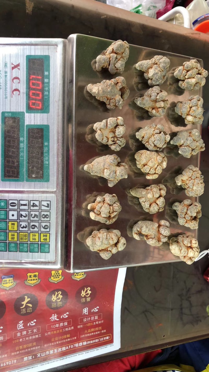 正宗三七文山三七可视频看货产地现货一手货源包邮