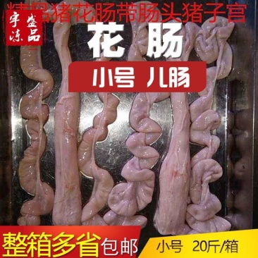 包邮冷冻新鲜生猪花肠小号生儿肠脆肠每件20斤