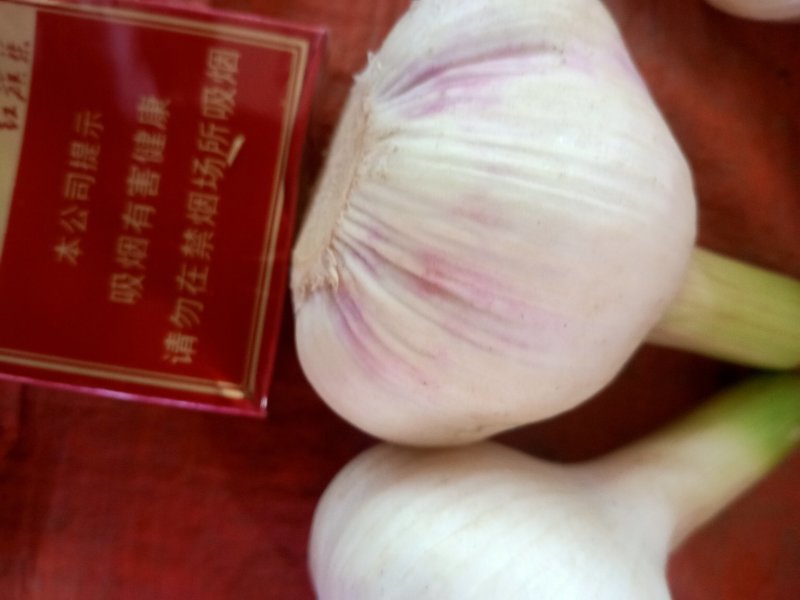 扒皮蒜，水洗蒜，，，蒜头，产地直供优价廉，