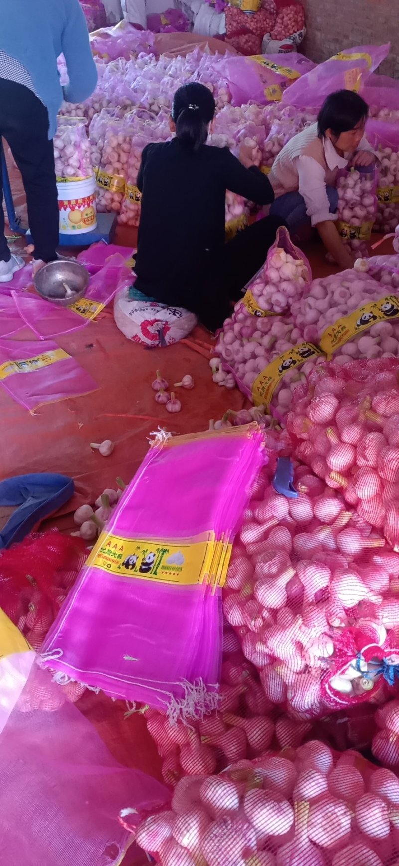 扒皮蒜，水洗蒜，，，蒜头，产地直供优价廉，