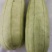 高石脆瓜