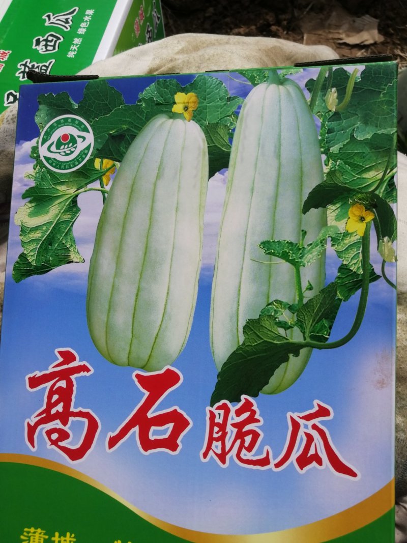 高石脆瓜