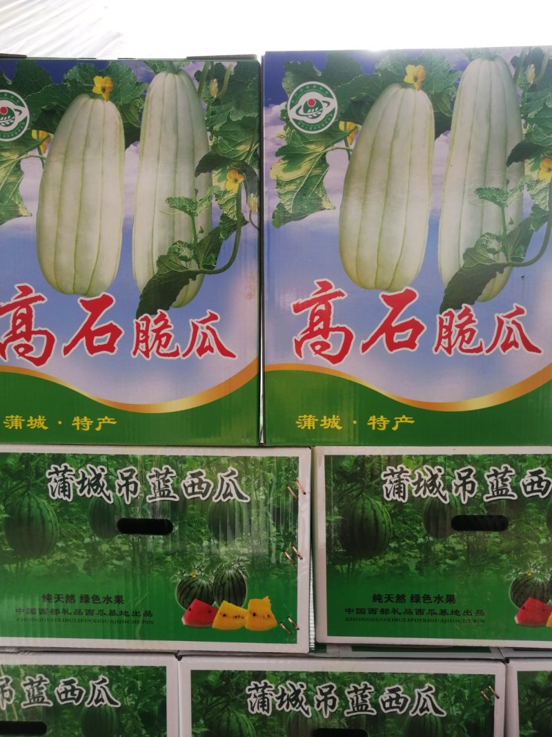 高石脆瓜