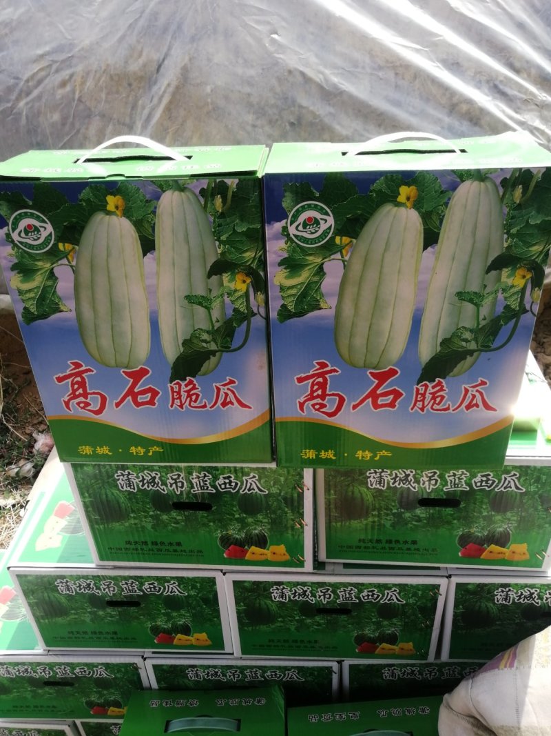 高石脆瓜