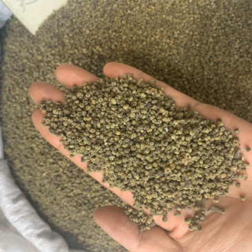 吴茱萸吴萸无硫磺熏蒸一公斤起批