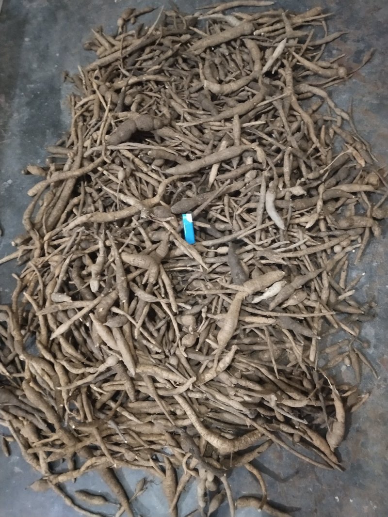 广东省肇庆市纯小叶野生牛大力