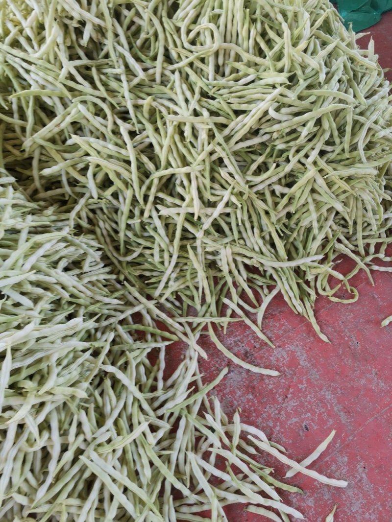 九粒白芸豆20cm以上，中期芸豆，价格美丽。
