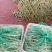 九粒白芸豆20cm以上，中期芸豆，价格美丽。