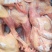 麻鸡