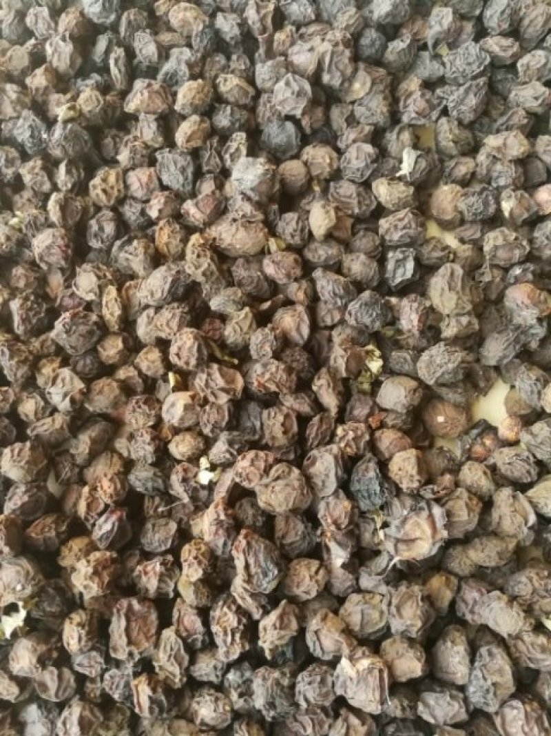 天清乌梅种植专业合作社提供乌梅苗乌梅欢迎来电洽谈