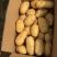 精品土豆，保质保量