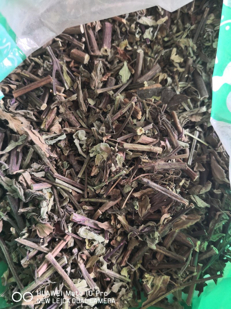 猫须草广西干货量大从优常年经营各种中药材