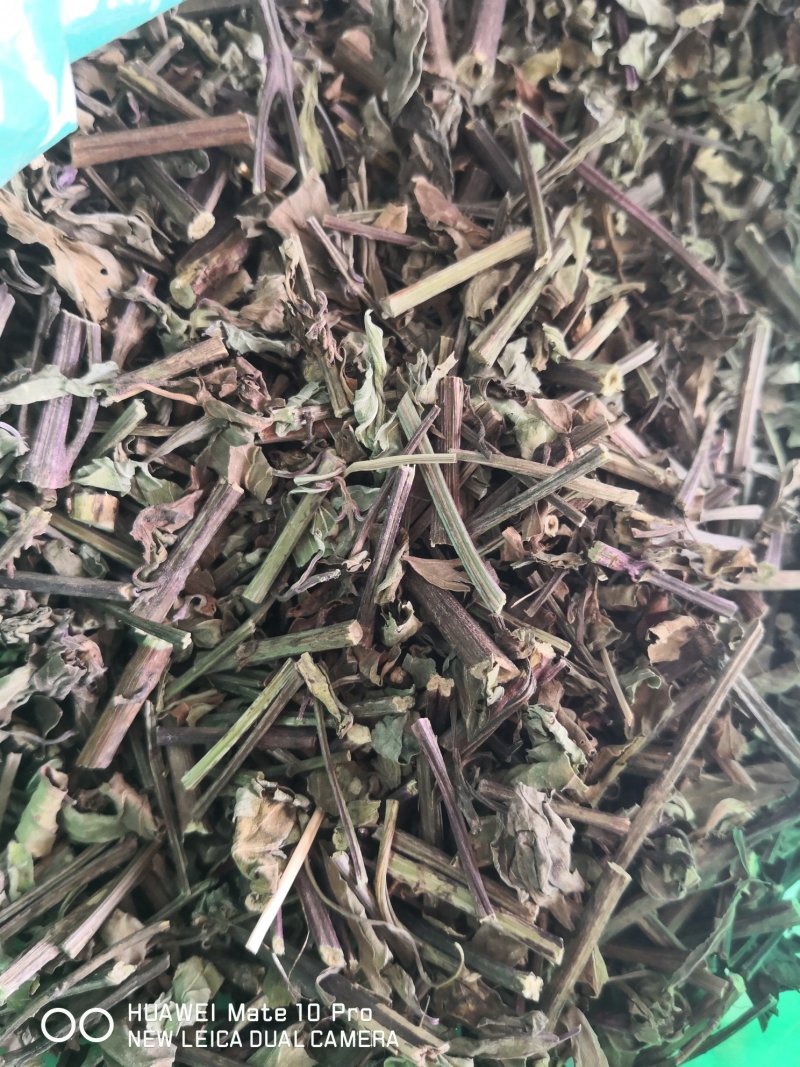 猫须草广西干货量大从优常年经营各种中药材