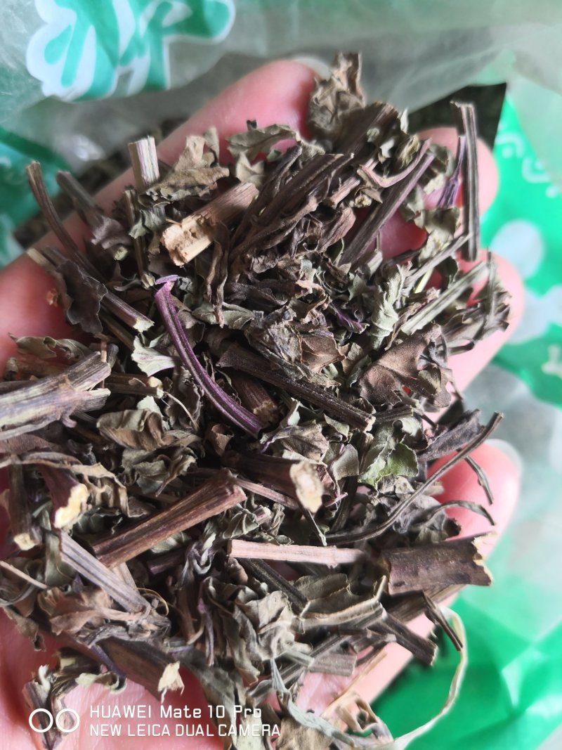 猫须草广西干货量大从优常年经营各种中药材