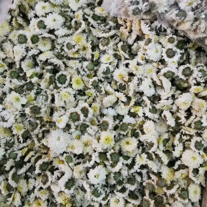 黄山贡菊，七月菊，北京菊，金丝皇菊，新货上市，量大批发