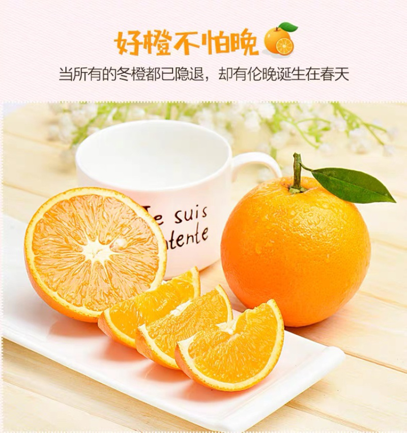 春橙伦晚脐橙原产地当季脐橙秭归甜橙子橙现摘10斤包邮