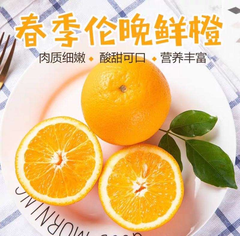 春橙伦晚脐橙原产地当季脐橙秭归甜橙子橙现摘10斤包邮