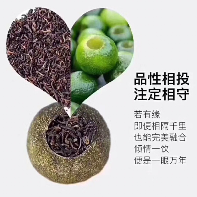 正宗新会陈皮柑核心区新会柑可视频选购可亲临采摘晒青皮陈皮