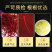 伊朗进口藏红花正品特级品，原产地品，一件包邮！