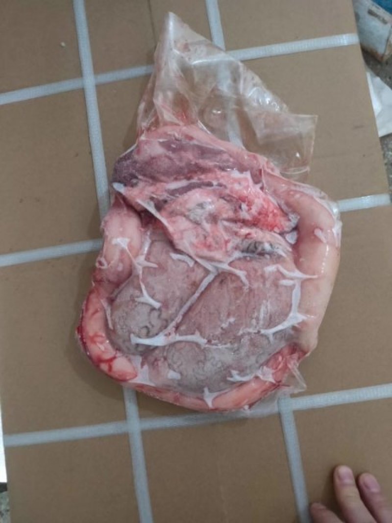 源头厂家国产鲁西黄牛纯干精修牛鞭宝每个三到四斤，真空包装