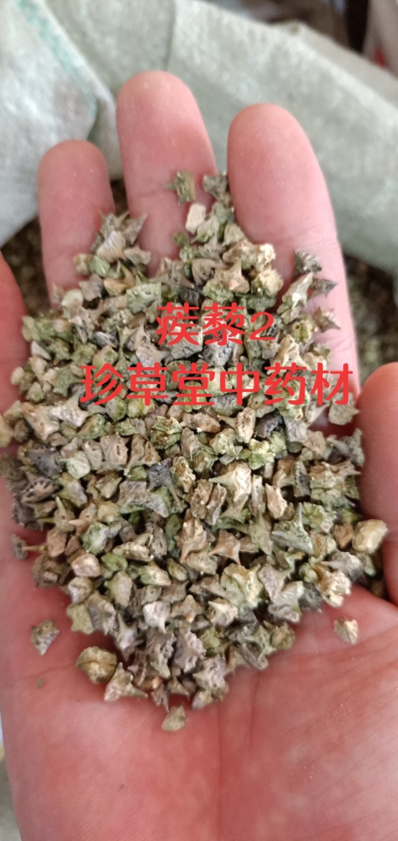蒺藜刺蒺藜白蒺藜中药材各种中药材批发零售各种规格