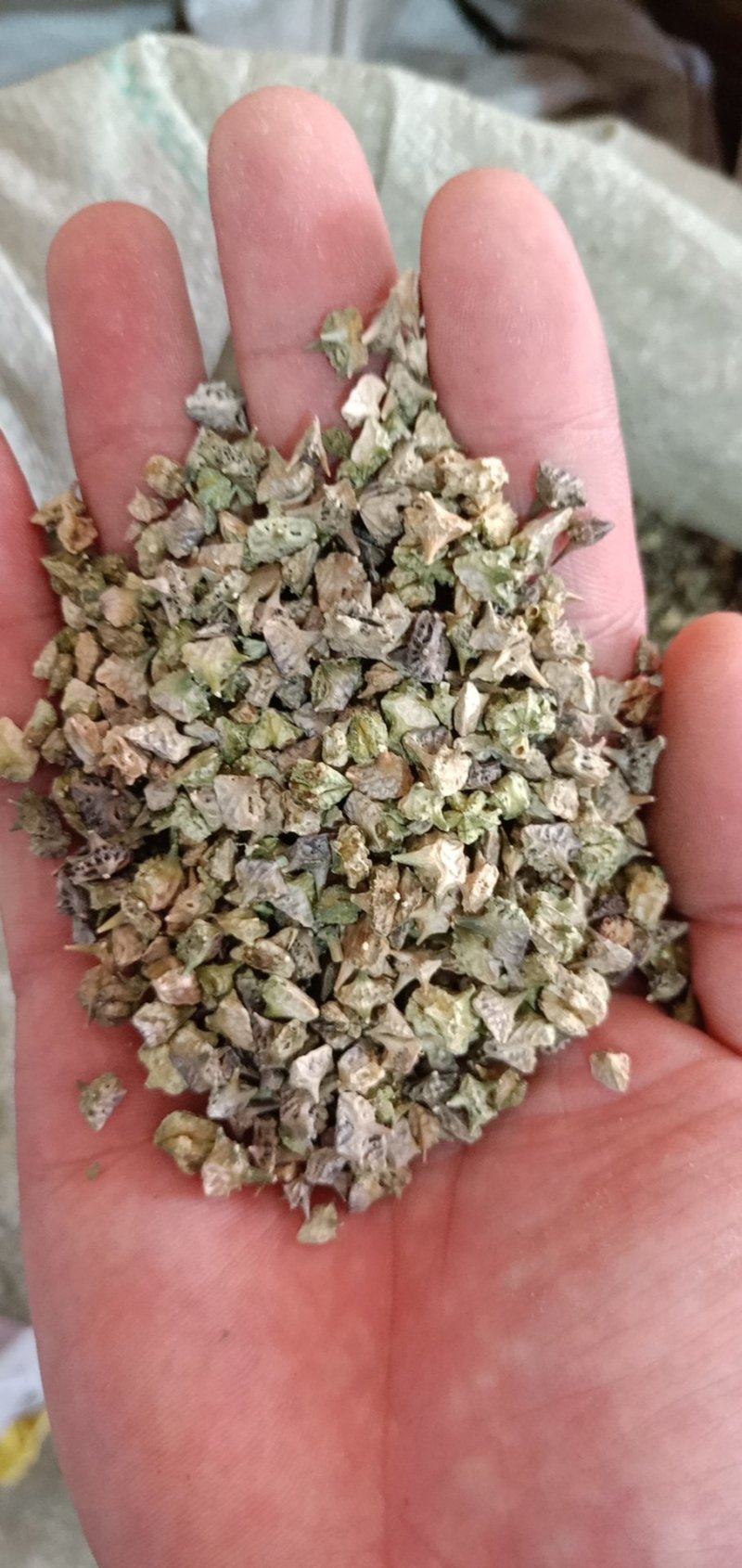 蒺藜刺蒺藜白蒺藜中药材各种中药材批发零售各种规格