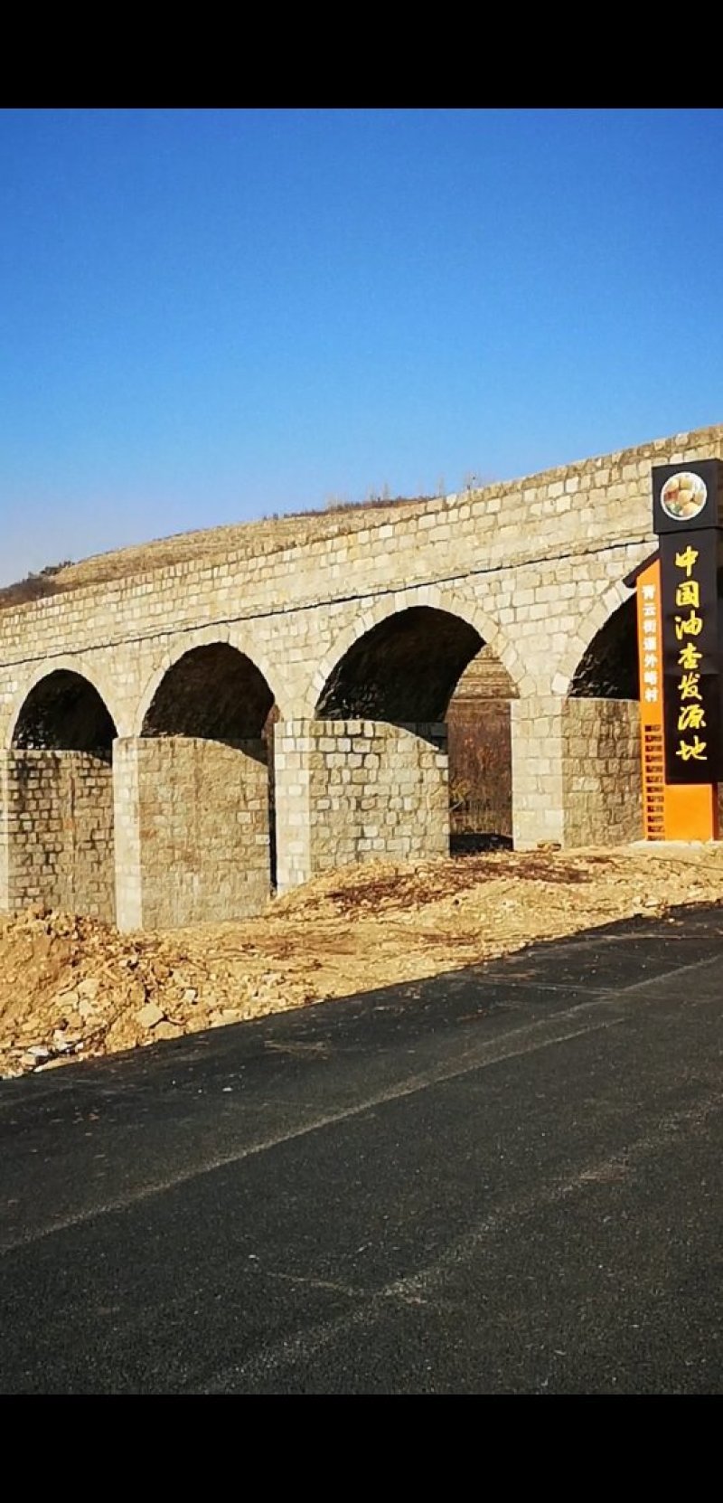 珍珠油杏树苗