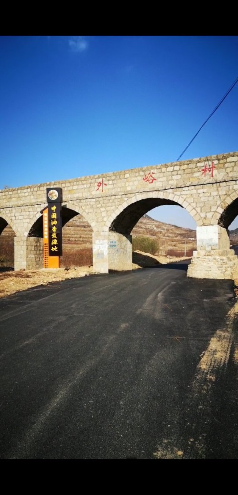 珍珠油杏，中国油杏发源地，品种有保证，