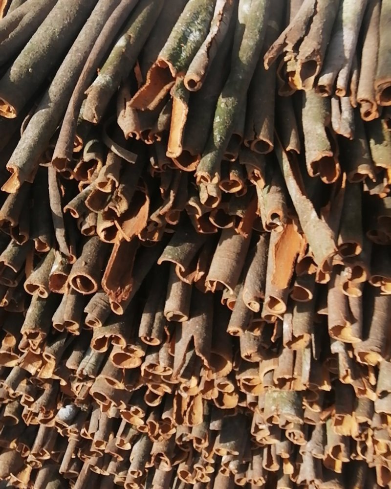 桂皮