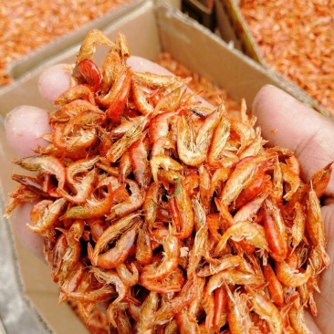 干虾