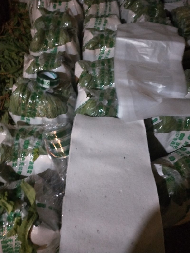 河北定州莴笋白菜基地