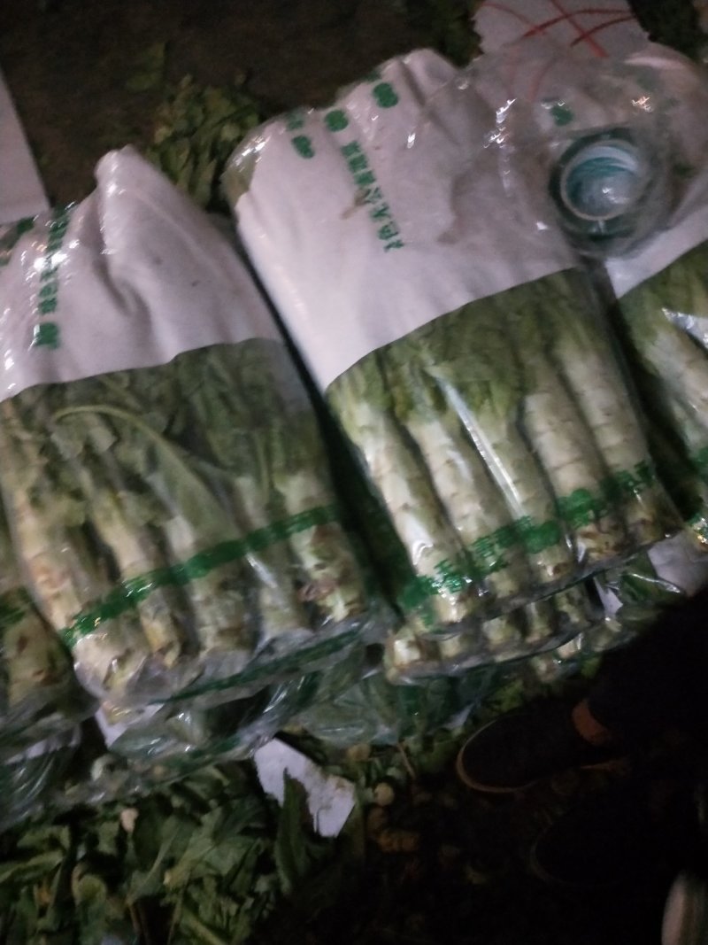 河北定州莴笋白菜基地