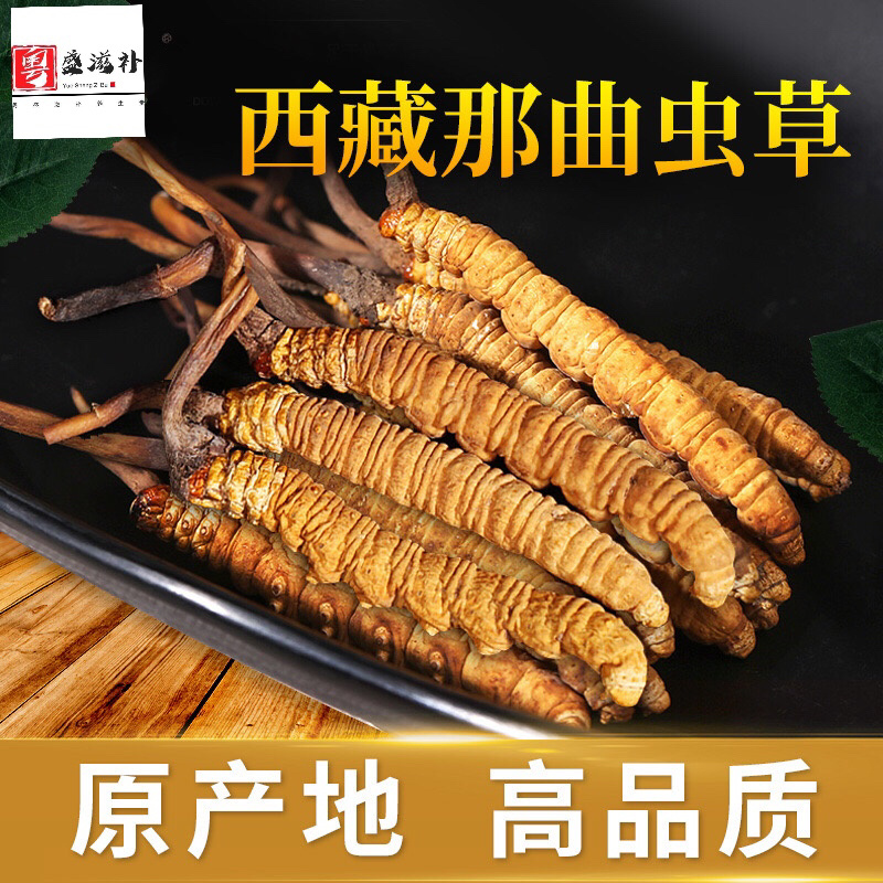 西藏那曲头期虫草足干批发产地直销