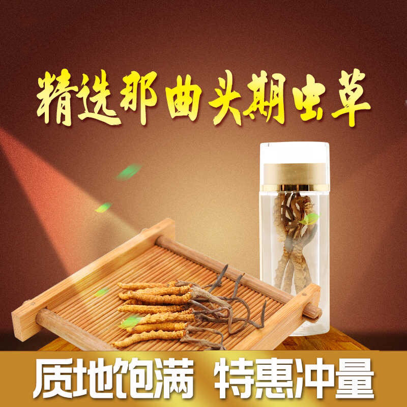 西藏那曲头期虫草足干批发产地直销
