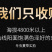 西藏那曲头期虫草足干批发产地直销