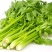 芹菜西芹80公分左右价格合理保质保量